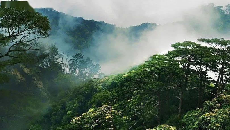 未知的岛屿