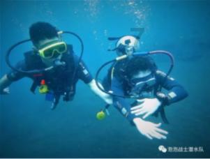 【种草养畜】 新型生态产业链 助力乡村振兴